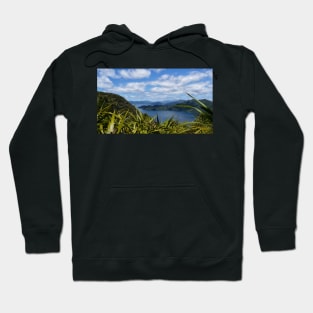 Through the Fronds Hoodie